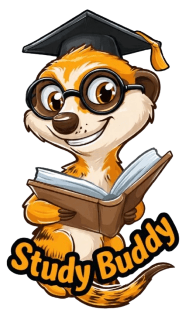 Akili Study Buddy meerkat mascot